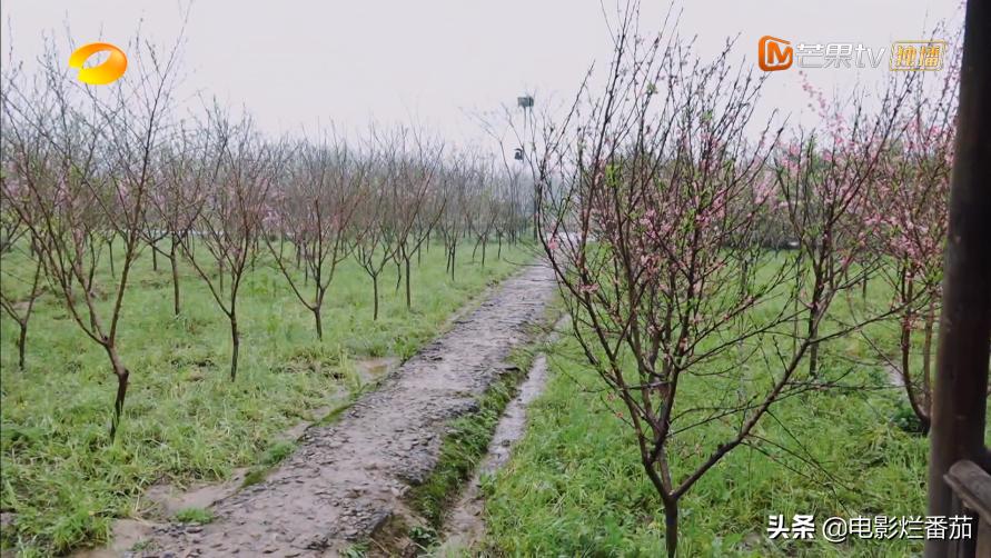 向往的生活收官期待下一季,追完一整部剧为什么越来越困难