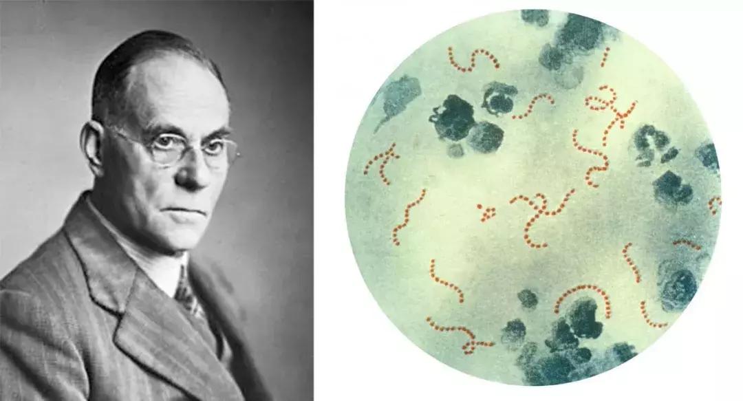 在救命这件事上,生物和化学真的不够|赛先生