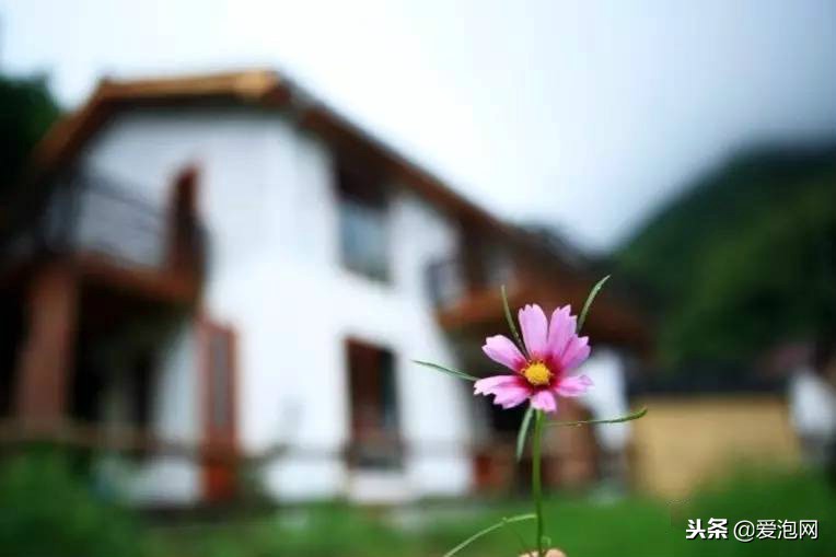 浙江桐庐独幽处温泉民宿,冬季桐庐风景好的民宿