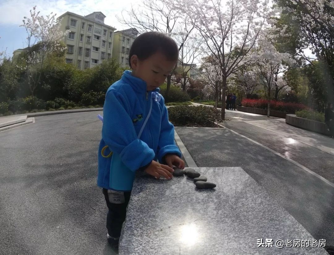 最新海鸟运动相机测评,海鸟4k相机评测