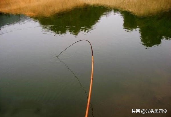 钓大鱼鱼咬口了怎么操作,钓大鱼的时候小鱼老是吃饵怎么办