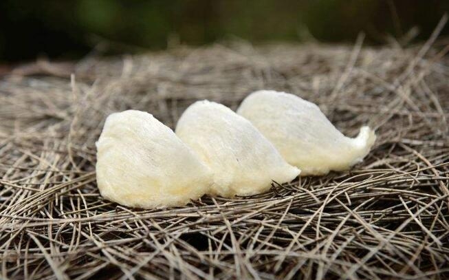 孕妇吃的燕窝的做法与吃法,孕妇吃的燕窝怎么做法