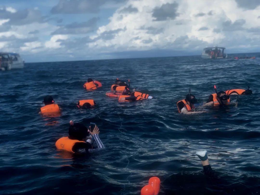 出不了门的心情,出不了门的日子让人心绪难平