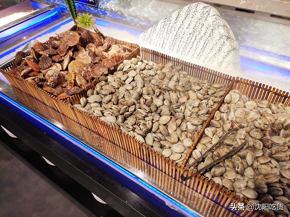 人山人海自助餐,人山人海自助烤肉甲鱼