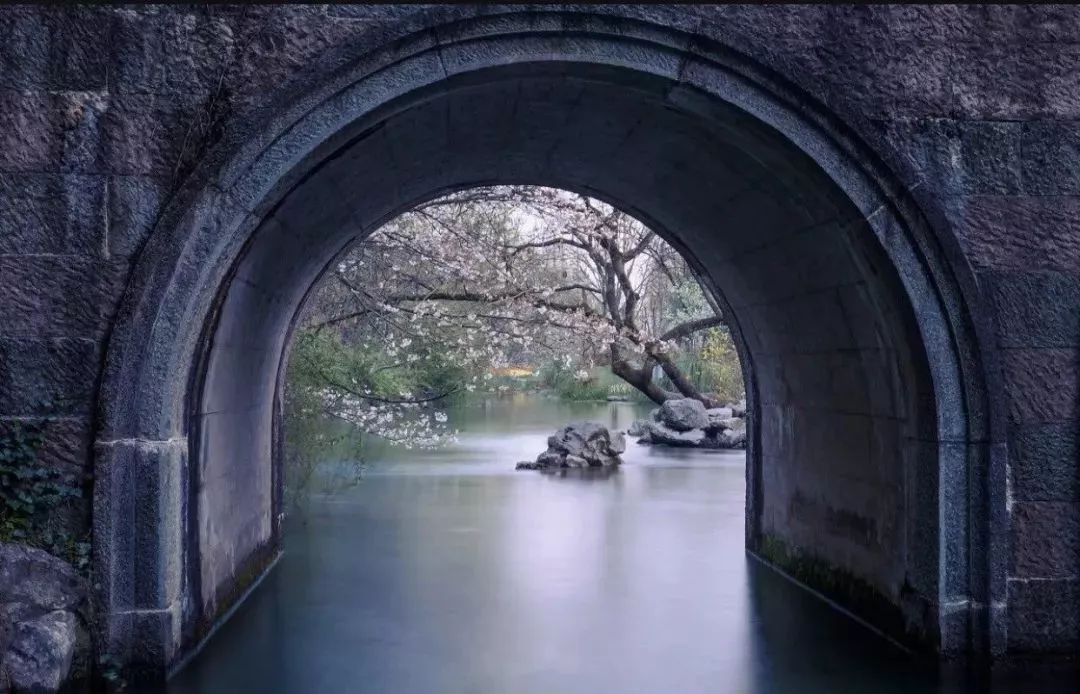 杭州碧桂园具体位置,杭州碧桂园在哪里