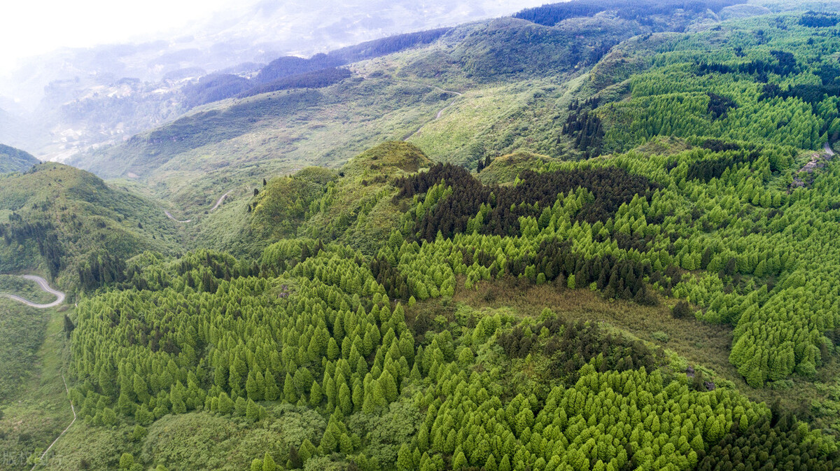 重庆适合亲子游2天一晚避暑,重庆周边的四川避暑胜地有哪些