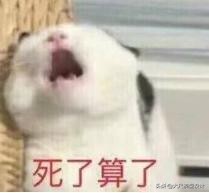 朱碧石电车视频,朱碧石乔装坐火车