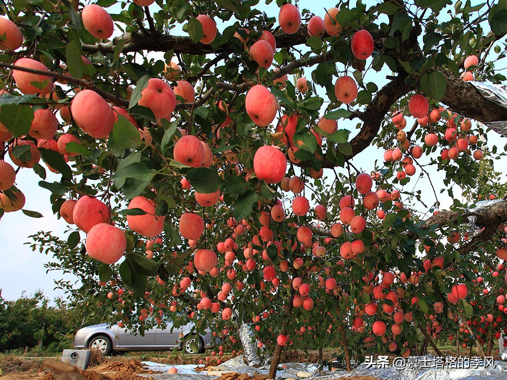中国北方最美的两个海滨城市,中国沿海气候最好的城市