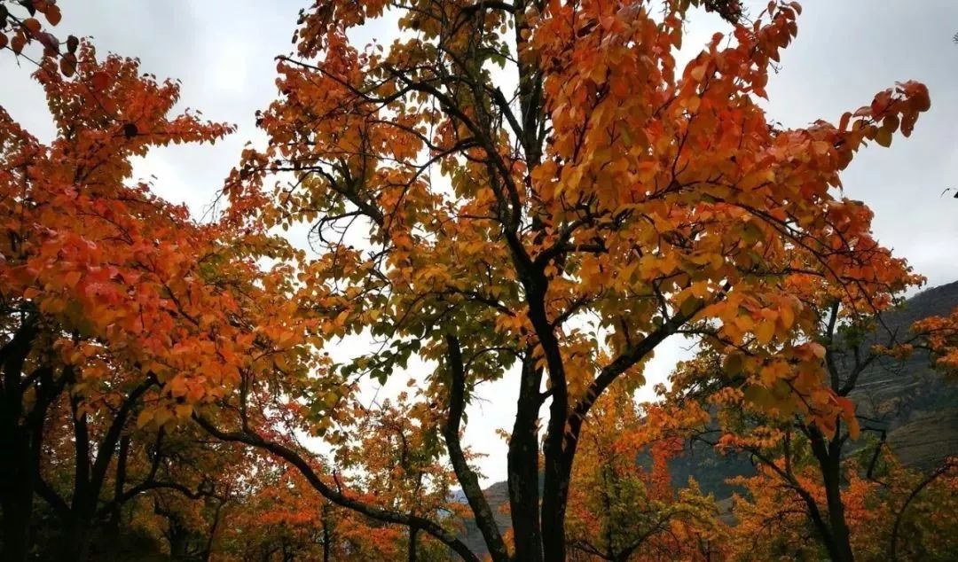 快速收藏100个小妙招,快速收藏新闻