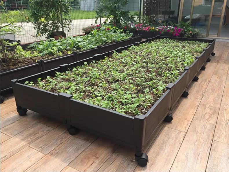 满足你对露台院子养花的梦想,养花种菜小院生活