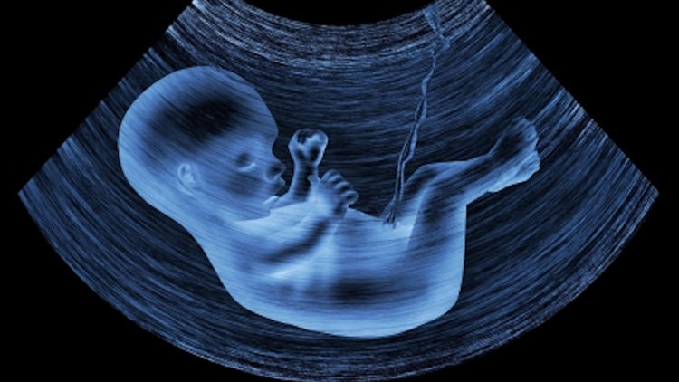 b超单上能看出孩子多重吗,b超单上的宝宝数值代表什么