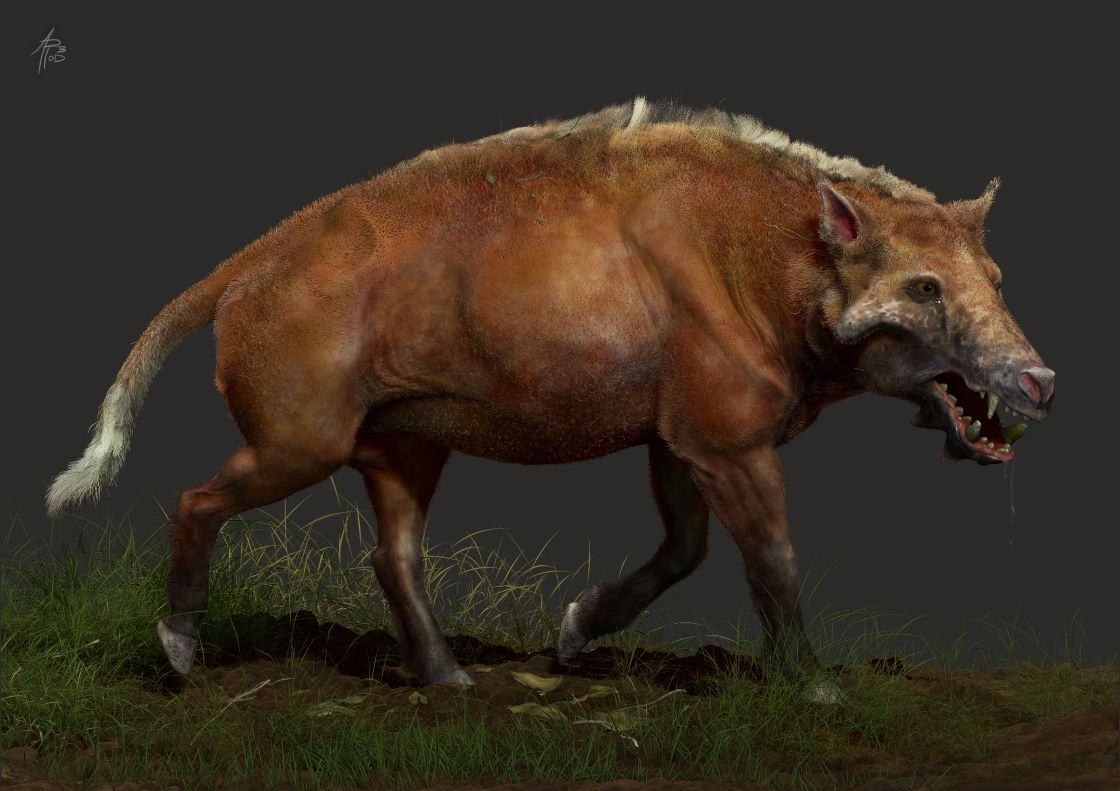 猪不同阶段都需要什么,为什么猪能活到现在