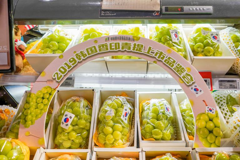 韩国香印青提介绍,寒冬凛冽韩文版