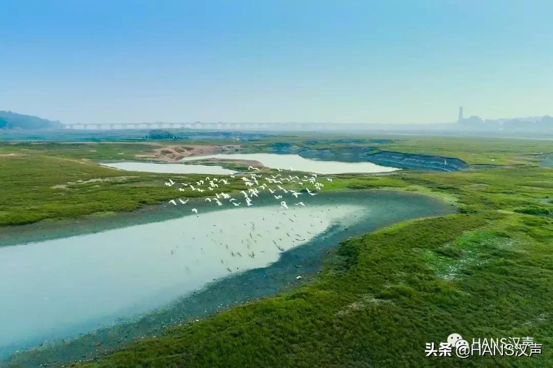 汉口夏天,汉口夏日