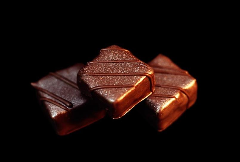 兽医提醒：你这样饲养巴哥犬，不是个合格的主人