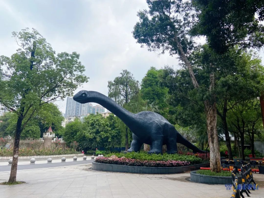 广州动物园什么时候搬迁,广州动物园搬迁