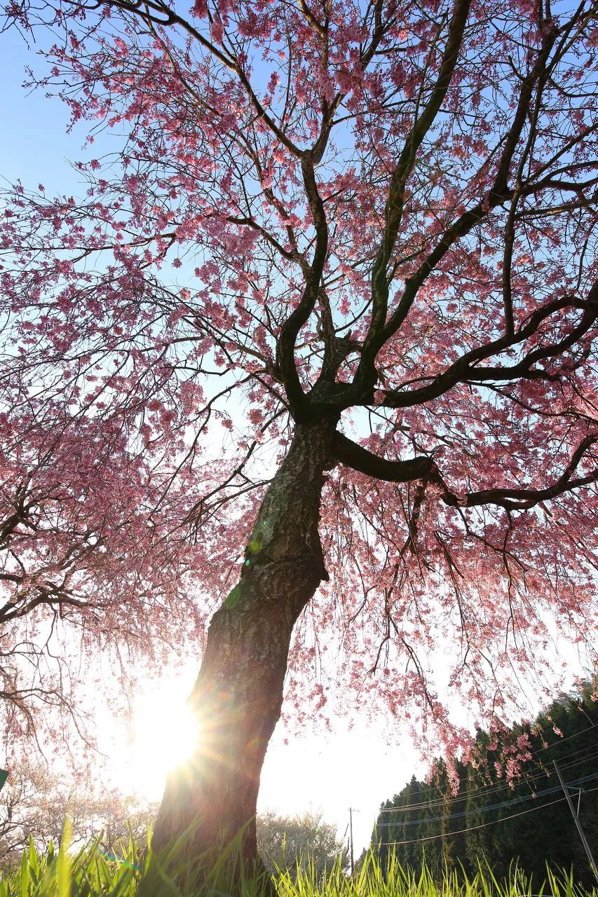 12月想要什么,12月的冬日暖阳岁月如此静好