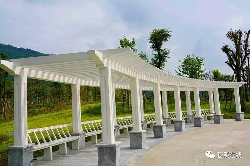 苍溪湿地公园有什么,苍溪最新湿地公园