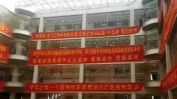 怎么养孩子更聪明,如何养蠢一个孩子