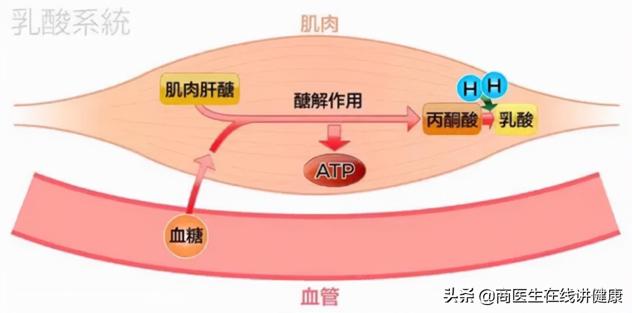 为什么吃二甲双胍血糖降不下来,每天吃二甲双胍为啥血糖降不下来