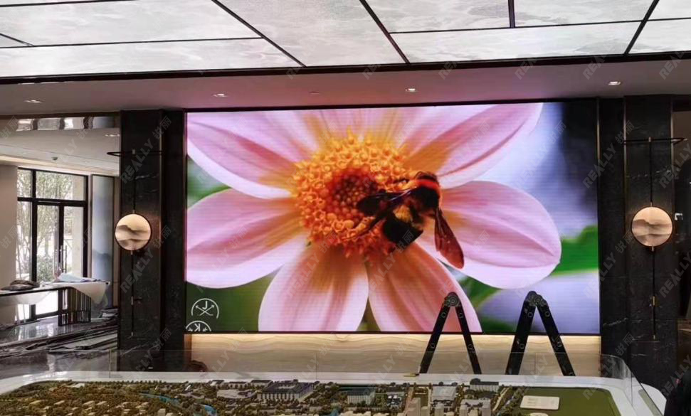 锐丽大屏幕显示器,锐丽大屏幕怎么用