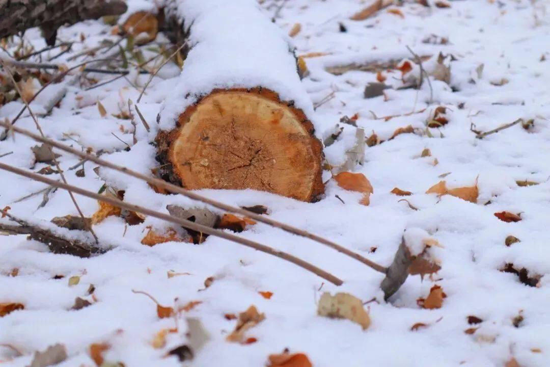 脑洞大开找滑冰鞋,脑洞大开设计的鞋子