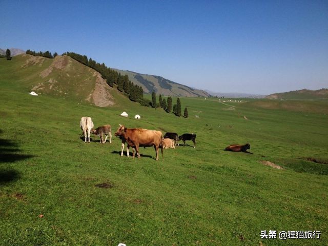 美丽富饶的新疆视频,美丽的新疆沙湾