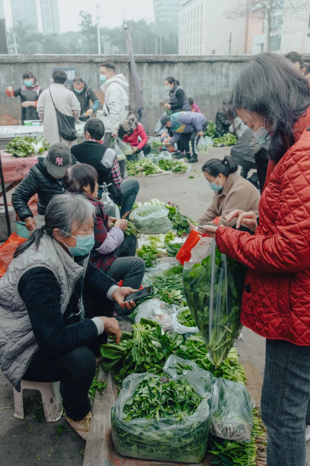 沙河边的野生菜市，是成都嬢嬢的狂欢现场