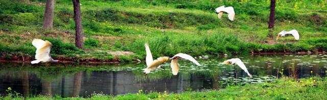 铜川：如今的小弟，曾经的老二，放在甘肃什么水平？