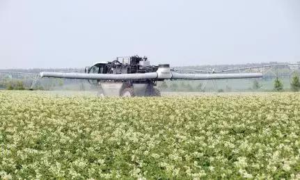 齐齐哈尔未来发展规划,齐齐哈尔发展方案