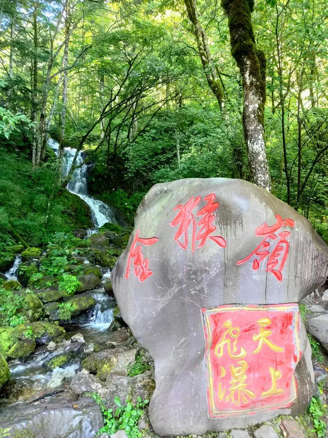 神农架攻略书,重庆出发神农架三日自驾游攻略