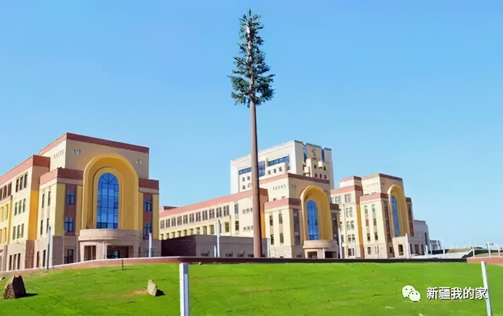 校园美食节登上热搜，*疆新**师范大学没想到你是这样的