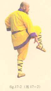 少林护心意门拳全套演示,少林拳长护心意门拳介绍