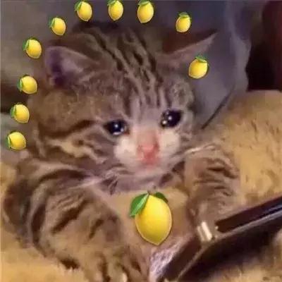 胸比较大的女生怎么穿显身材,胸比较大的女生怎么穿衣服好看