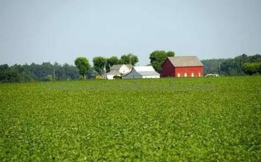 有机农业到底该怎么做呢,有机农业的困境和出路