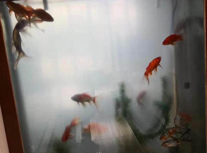 水质黄浊怎么处理最好,自来水水质很白浊有什么办法变清