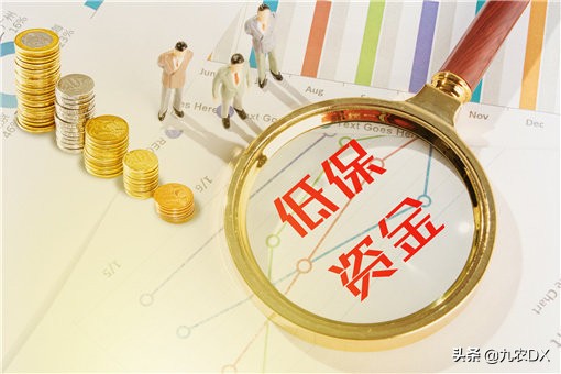 农村低保动态调整中存在的问题,农村低保新政策最新通知