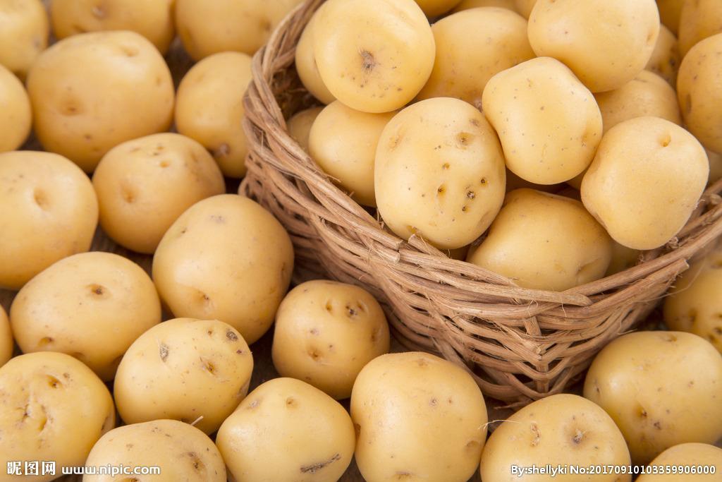 618铲屎官,铲屎官猫粮排名