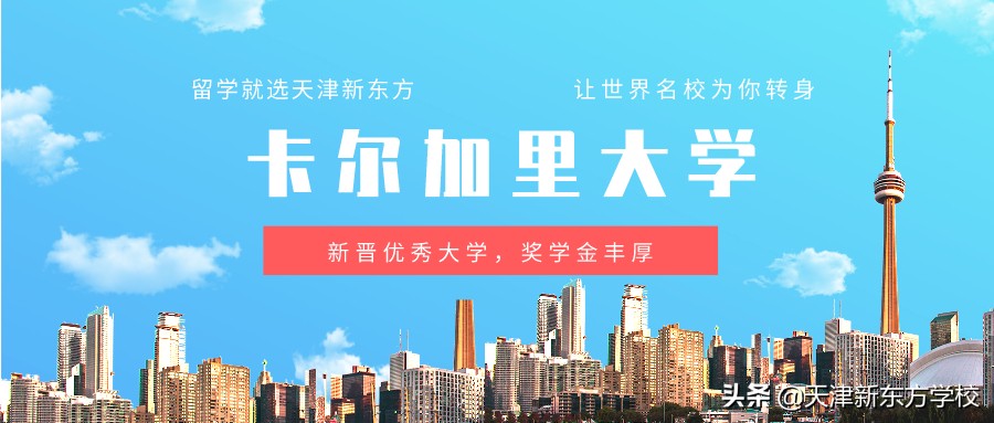 卡尔加里本科留学费用,卡尔加里留学大专