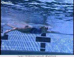 自由泳打腿技巧总结,自由泳游快技巧