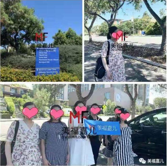 美福嘉儿口碑,美福嘉儿简介