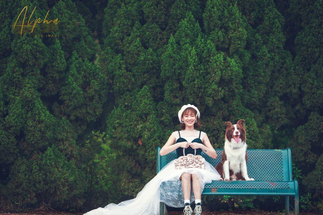 Pick到一家宝藏「宠物写真馆」!福利已谈好,铲屎官快冲鸭