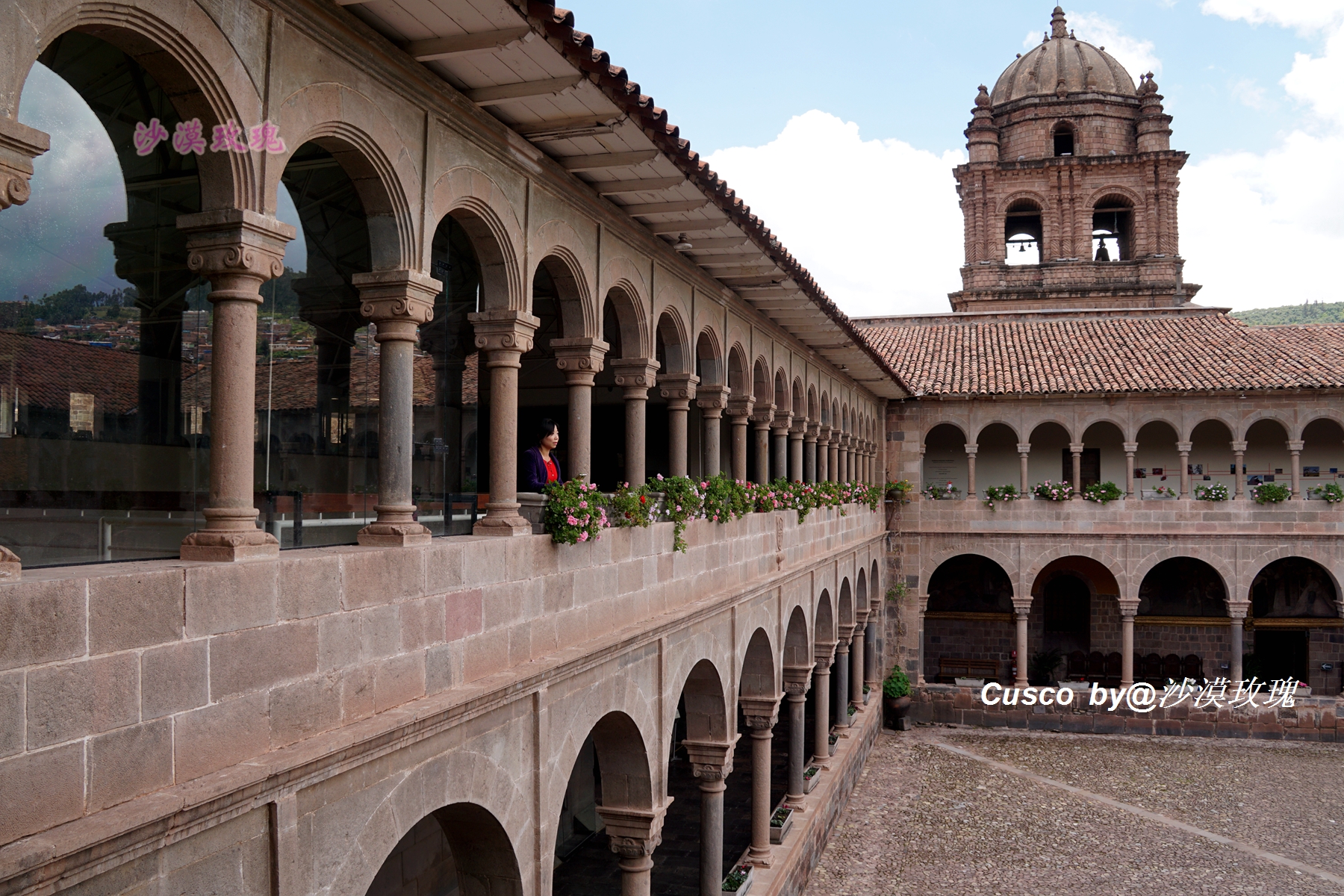 秘鲁国菜塞维切图片,秘鲁国菜十大名菜品尝