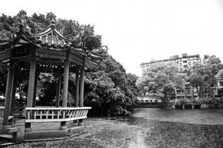 「今日作家」成泽宪‖我的冶山之缘(散文)