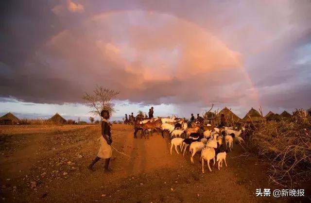 新华社年度照片,人民日报社2019年度照片欣赏