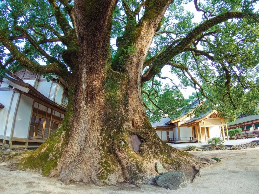 绱㈠凹xperia1鍦ㄦ棩鏈殑鍞环,绱㈠凹xperia1鏃ユ湰