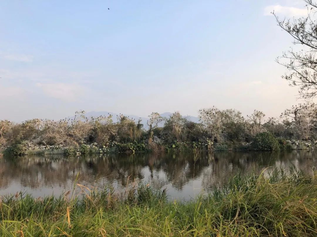 香港西贡禁区,香港西贡区禁区