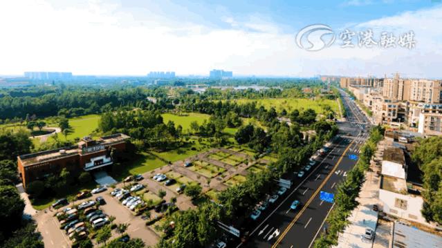 成都双流怎样,你怎么那么绿是什么梗