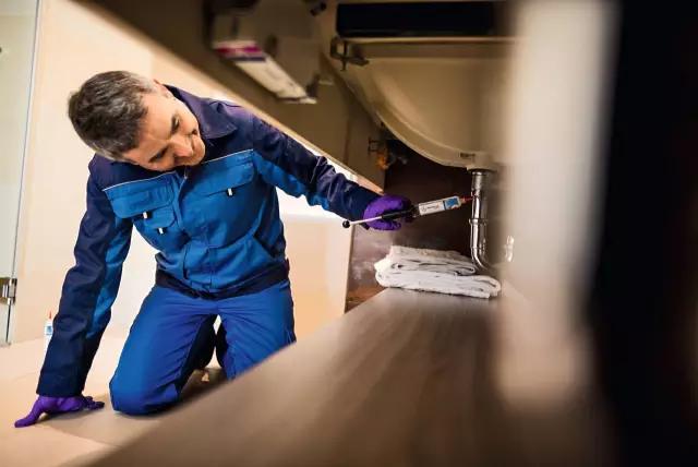 蟑螂的处理办法家用,蟑螂的处理办法