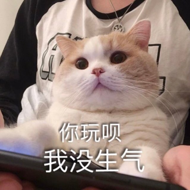 太有意思了动态表情包,表情包游戏很搞笑